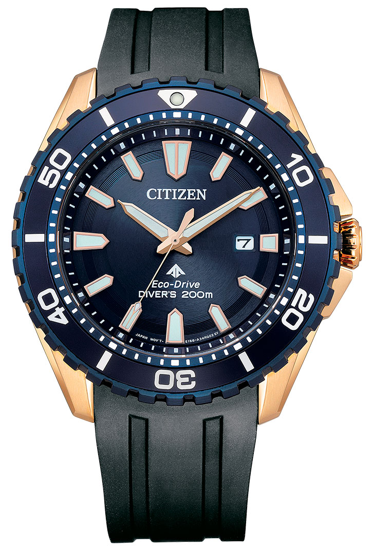 Японские наручные часы CITIZEN  BN0196-01L