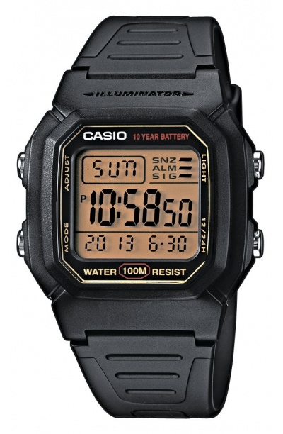 Японские наручные часы CASIO CASIO COLLECTION W-800HG-9A