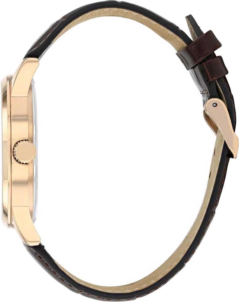 Японские наручные часы Citizen AK5003-05A