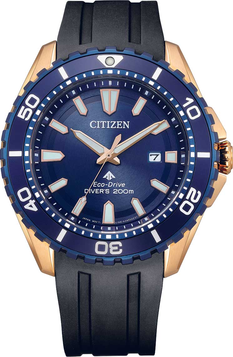 Японские наручные часы Citizen BN0196-01L