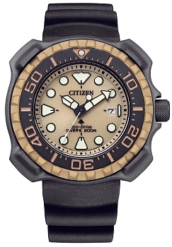 Японские наручные часы CITIZEN  BN0226-10P