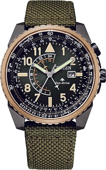 Японские наручные часы Citizen BJ7136-00E