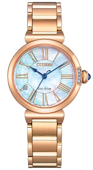 Японские наручные часы CITIZEN  EM1063-89D