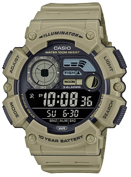 Японские наручные часы CASIO CASIO COLLECTION WS-1500H-5B