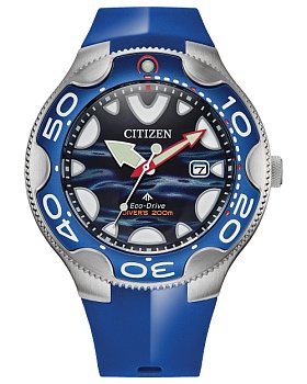Японские наручные часы CITIZEN  BN0238-02L