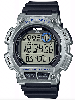 Японские наручные часы CASIO CASIO COLLECTION WS-2100H-1A2