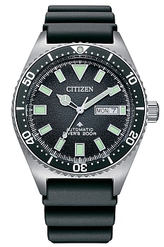 Японские наручные часы CITIZEN  NY0120-01E